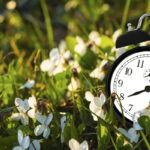 Spring ahead, fall back