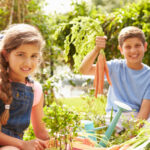 harvest-for-all