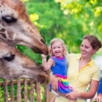 entertainment-on-a-budget