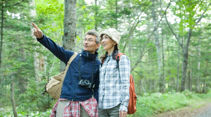 People in forest