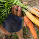 help-feed-your-community