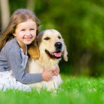 Insuring your furry friends
