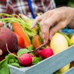 Dirty-dozen-versus-clean-15