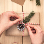 MB571_Dec2019_630x300-Have an eco-friendly holiday