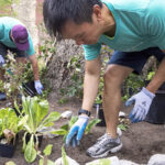 Foresters employees planting garden