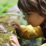 Enfant regardant attentivement un escargot.