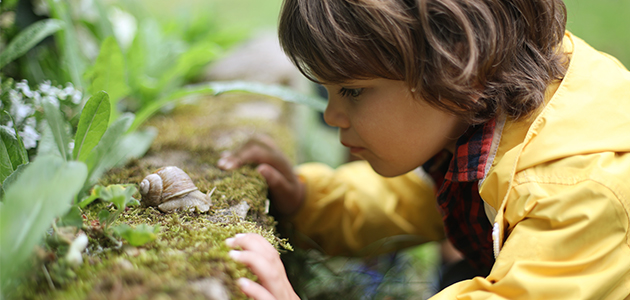 Enfant regardant attentivement un escargot.