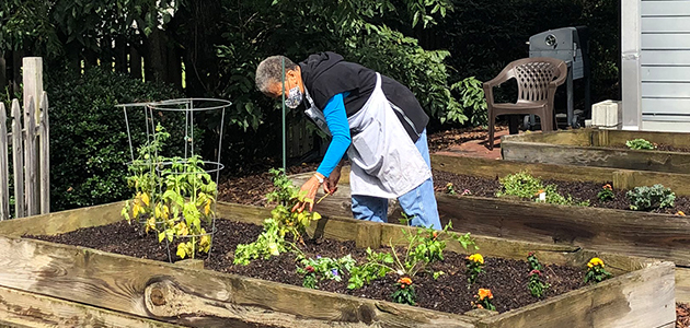 Volunteer planting a vegetable garden