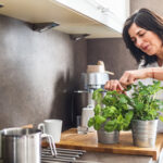 Woman potting plants for windowsill garden