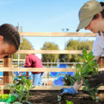 Two women planting vegetables