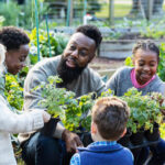 A group of kids gardening