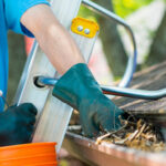 Cleaning out the gutters