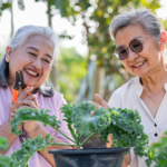 Two women planting kale