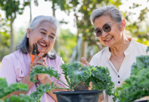Two women planting kale