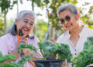 Two women planting kale